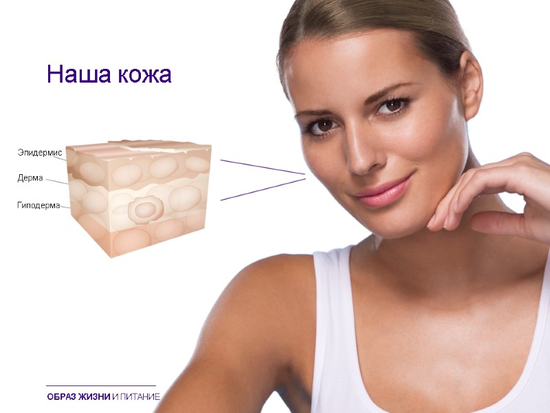 Наша кожа Эпидермис Дерма Гиподерма ОБРАЗ ЖИЗНИ И ПИТАНИЕ